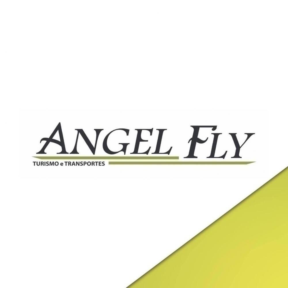 Logo Angel Fly Turismo